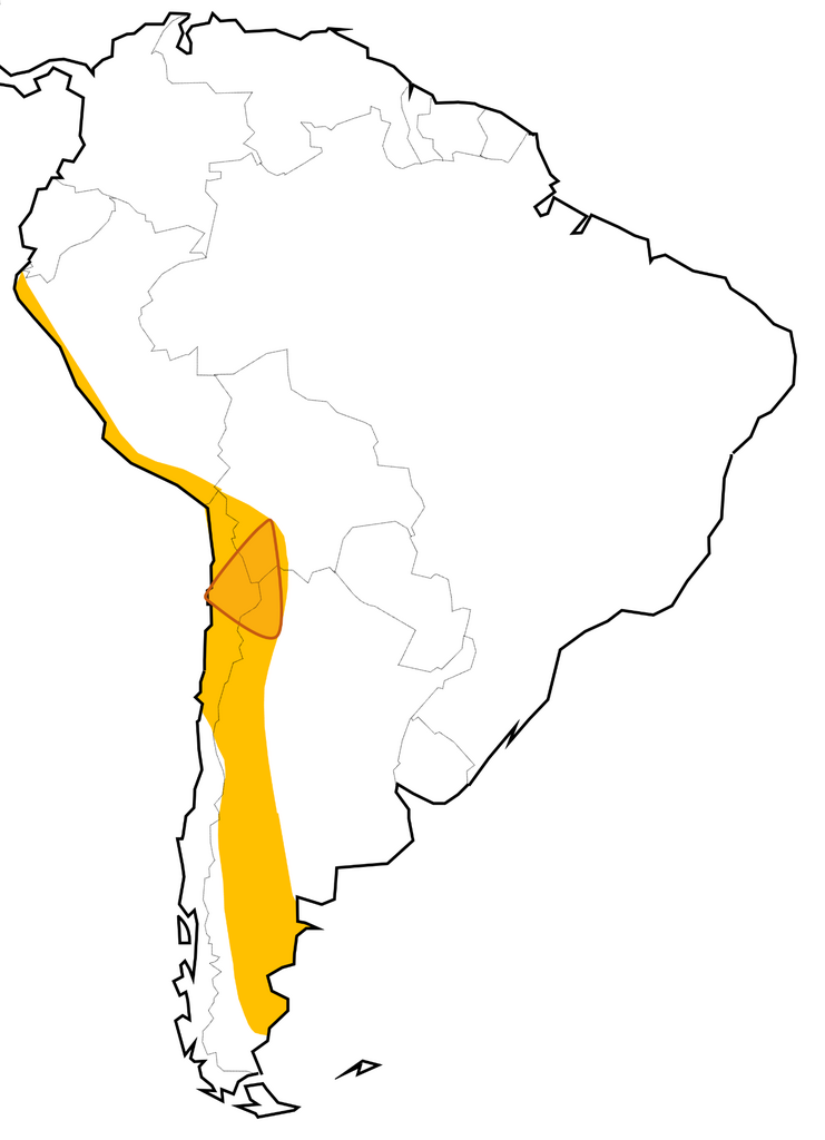 A map of the Lithium Triangle in South America